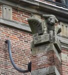 Stier (Lucas).
              <br/>
              Marcel Westhoff, mei 2017